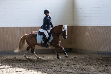 Bild 248 - Pony Akademie Turnier
